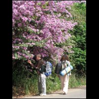 20090425084449.jpg