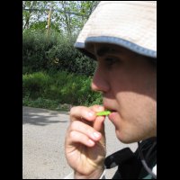 20090425085229.jpg