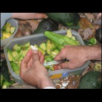 20090425141723.jpg