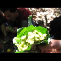 20090425143429.jpg