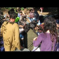 20090426080157.jpg