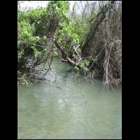 20090426102258.jpg