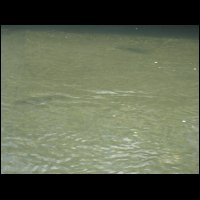 20090426103857.jpg