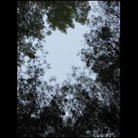 20090515053508.jpg