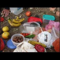 20090515060324.jpg