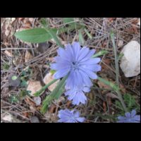 20090515084518.jpg