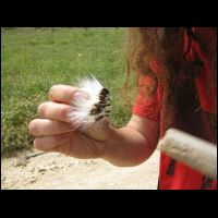 20090515093942.jpg
