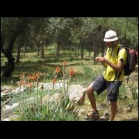 20090515094646.jpg