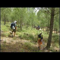 20090515103443.jpg