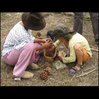 20090515110717.jpg