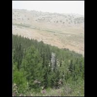20090515115342.jpg