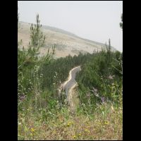 20090515115417.jpg