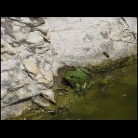20090515122659.jpg