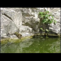 20090515125851.jpg