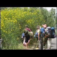 20090515135656.jpg