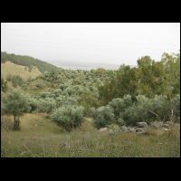20090515162238.jpg