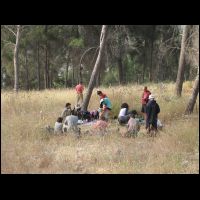 20090516054708.jpg