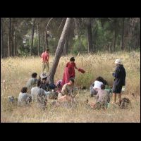 20090516054728.jpg