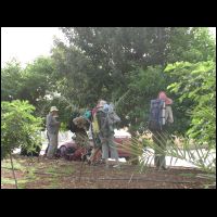 20090516070437.jpg