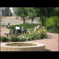 20090516080210.jpg