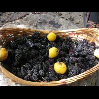 20090516085758.jpg