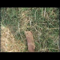 20090517151823.jpg