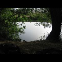 20090518063008.jpg