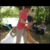 20090518065931.jpg