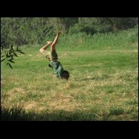 20090518070718.jpg