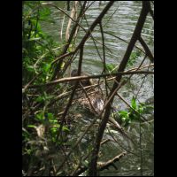 20090518082446.jpg