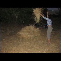 20090518184414.jpg