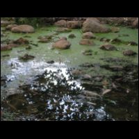 20090528061018.jpg