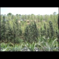20090528114554.jpg