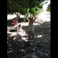 20090528153311.jpg