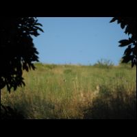 20090529054214.jpg