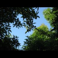 20090529054229.jpg