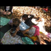 20090529060720.jpg