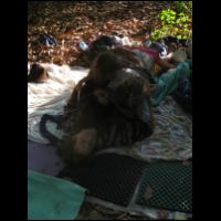20090529060729.jpg