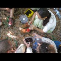 20090529065620.jpg