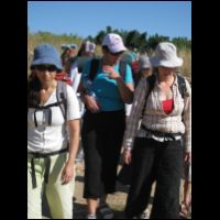 20090529073927.jpg