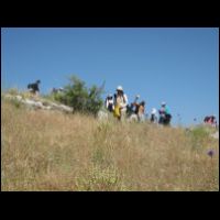 20090529083640.jpg