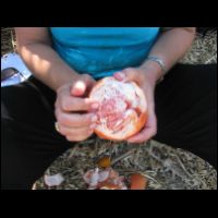 20090529092421.jpg