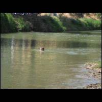 20090529143019.jpg