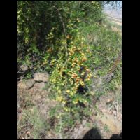 20090530075853.jpg