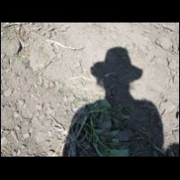 20090530084758.jpg