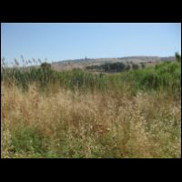 20090530090151.jpg