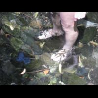 20090530102149.jpg