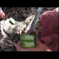 20090530133703.jpg