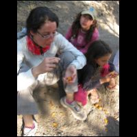 20090530154936.jpg
