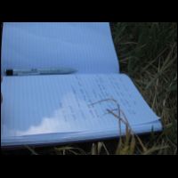 20090530164909.jpg